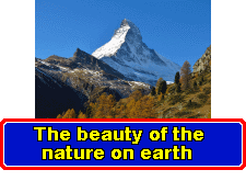 The beauty of the nature on earth